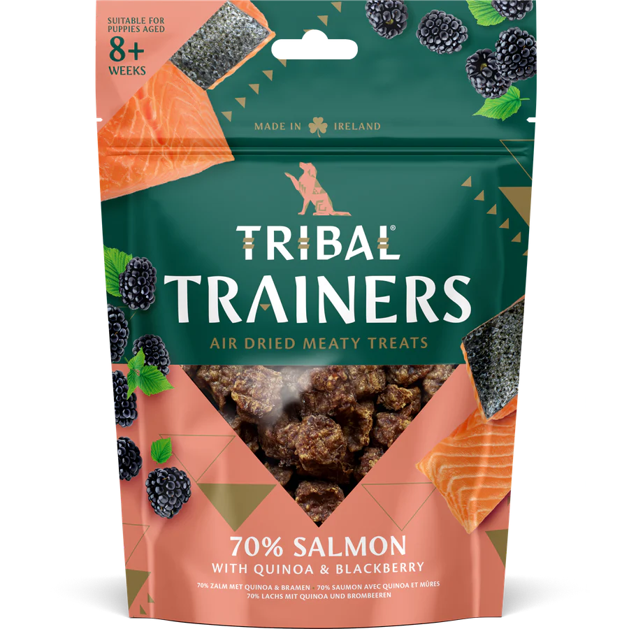 SNACKS CHIEN TRIBAL SAUMON